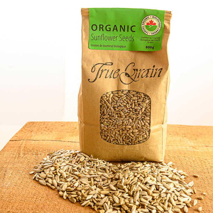 Organic Sunflower Seeds