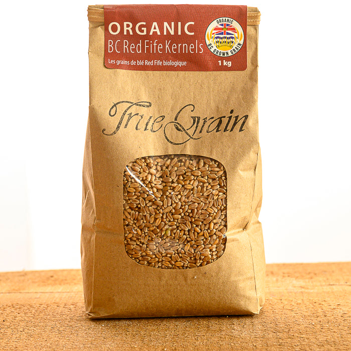 Organic BC Red Fife Kernels